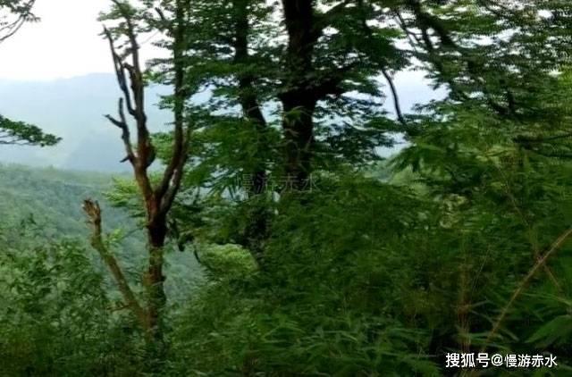 逃离死亡岛